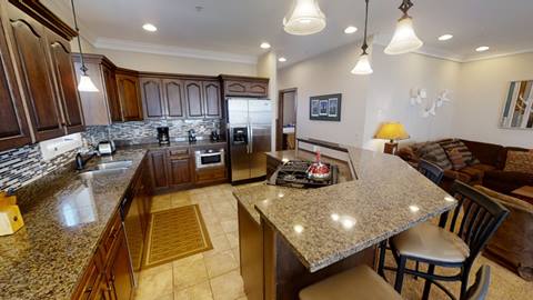 Black Bear Crossing 06