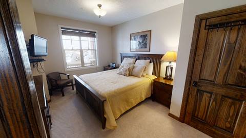 Black Bear Crossing 06