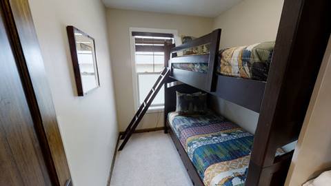 Black Bear Crossing 06