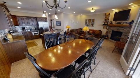 Black Bear Crossing 06