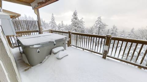 Black Bear Crossing 06