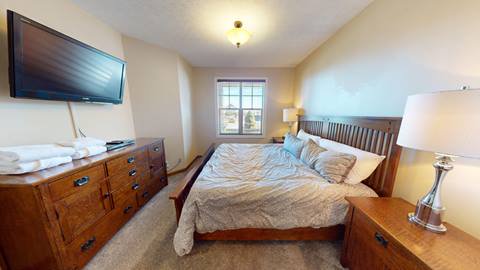 Black Bear Crossing 07