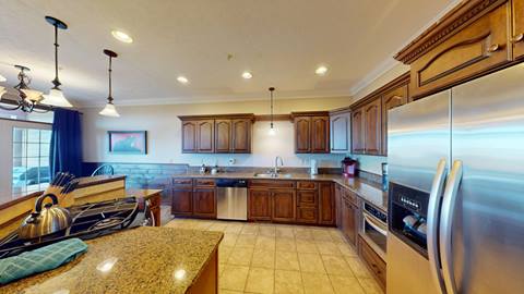 Black Bear Crossing 07