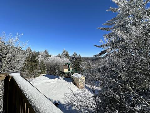 Black Bear Crossing 30