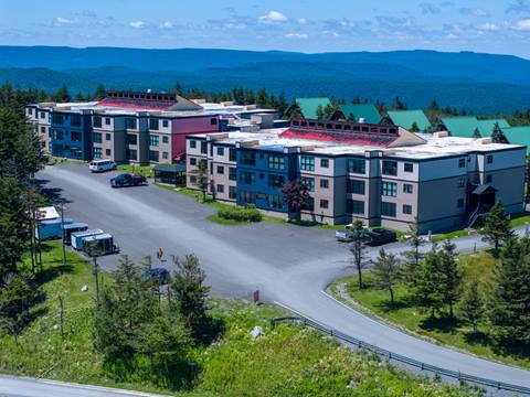 Snowcrest