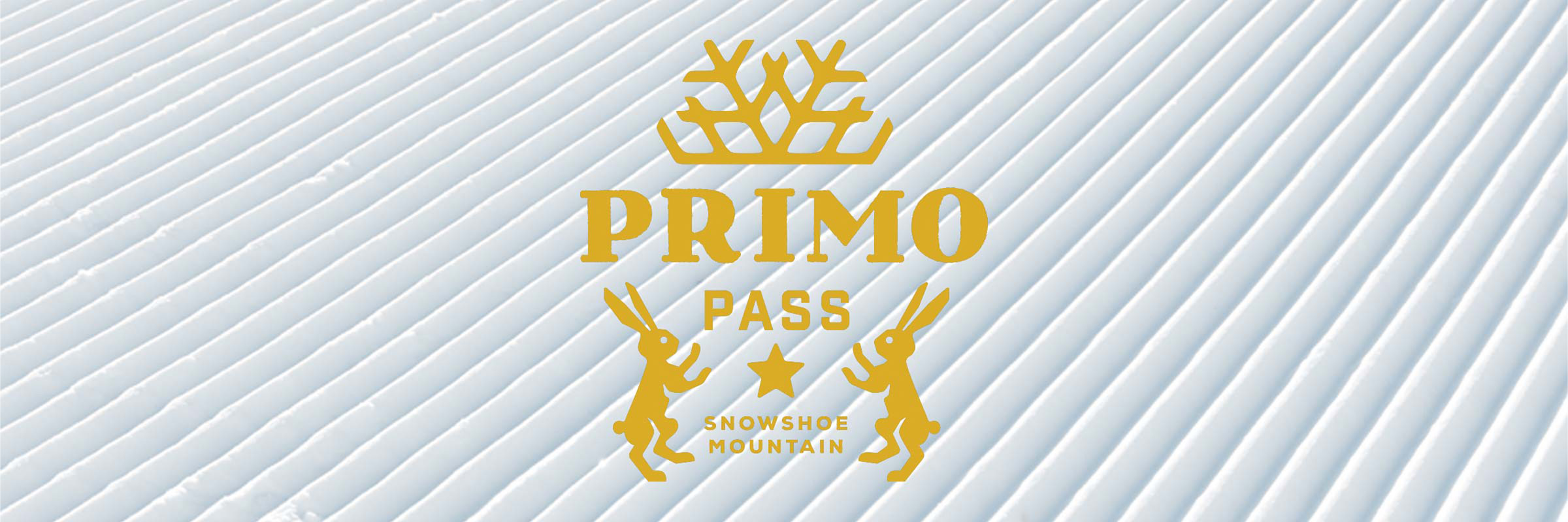 Primo Pass at Snowshoe Mountain