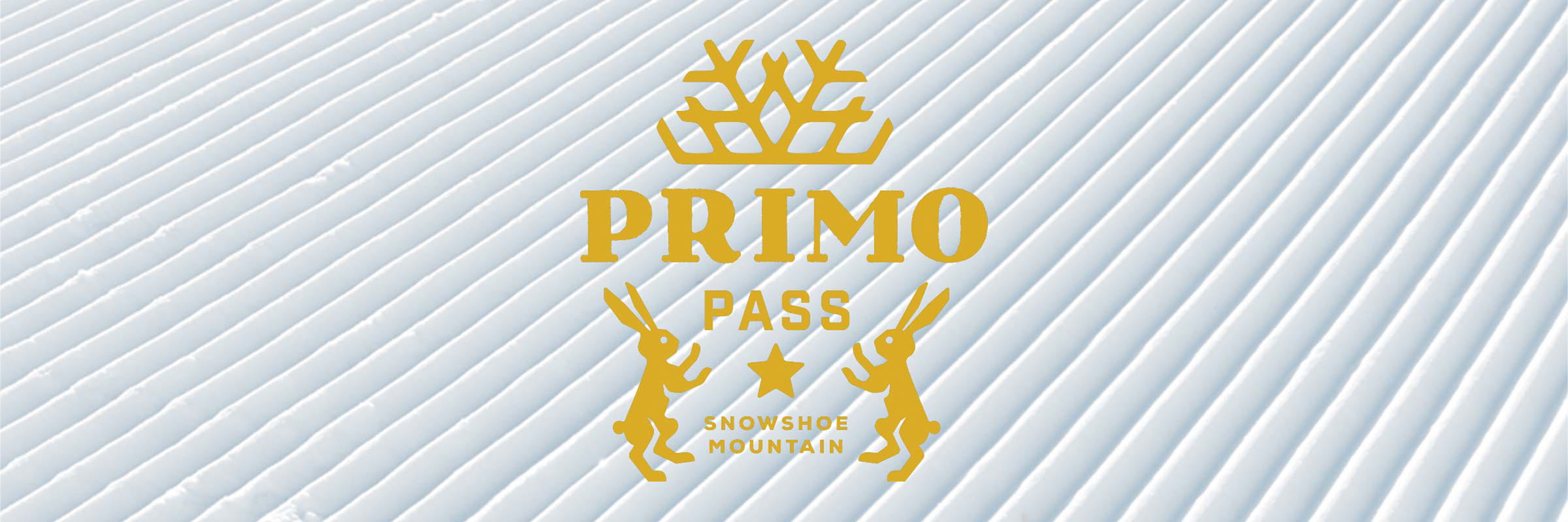 Primo Pass at Snowshoe Mountain