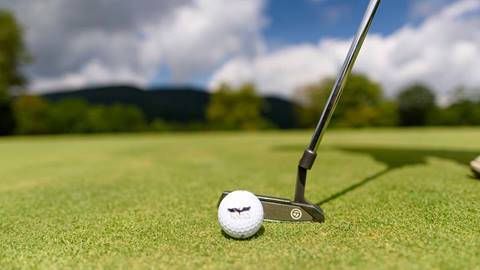 Raven Golf Ball and Club