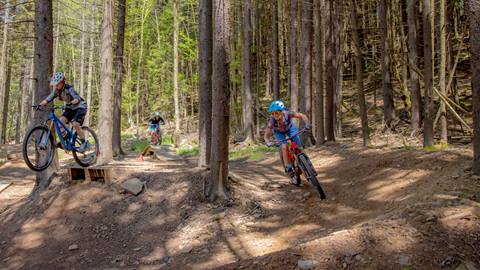 Bike Park Lesson