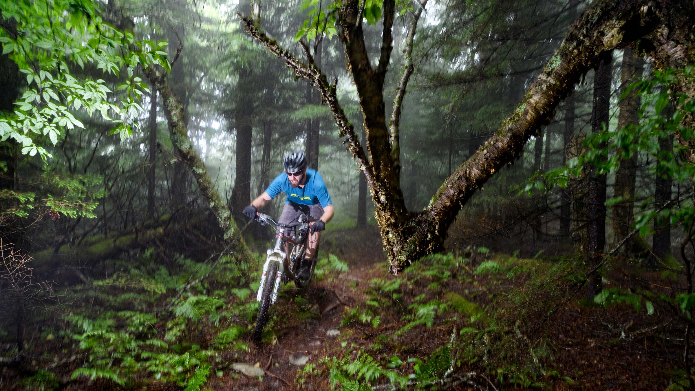 Snowshoe Bike Park in West Virginia