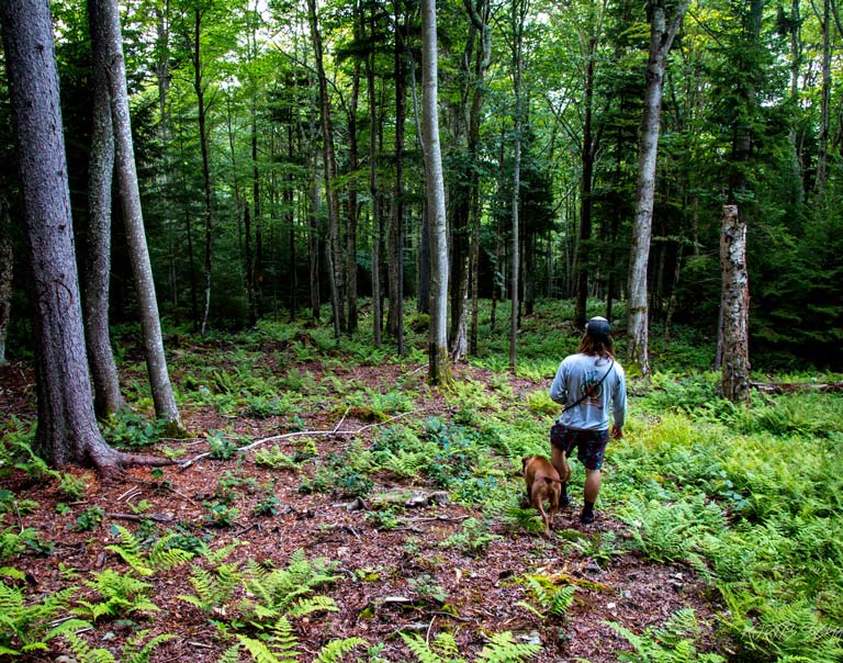 Snowshoe Mountain Resort  Cams Video & Photo Gallery Testimonials