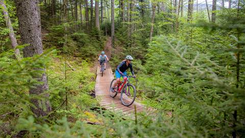 Backcountry bike riding at Snowshoe Mountain