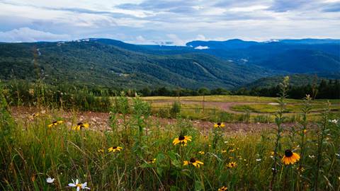 backcountry riding at Snowshoe Mountain