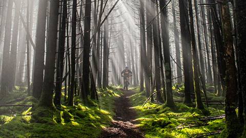 backcountry riding at Snowshoe Mountain