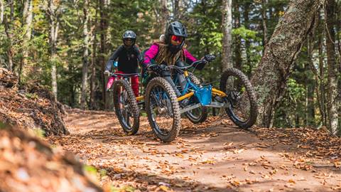 Downhill Mountain Biking at Snowshoe Mountain