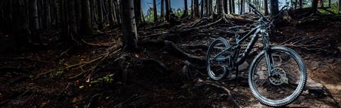 Discover Mountain Bike Rentals | Snowshoe Mountain