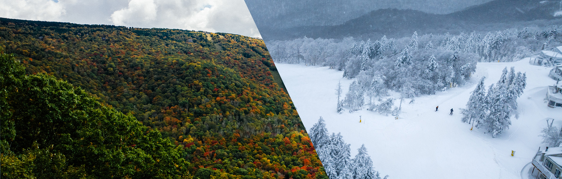 Year Round Group Adventure at Snowshoe Mountain