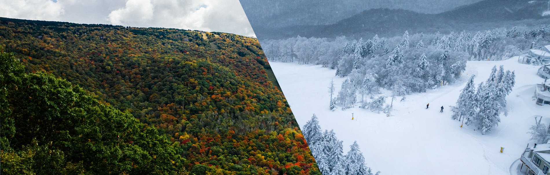 Year Round Group Adventure at Snowshoe Mountain