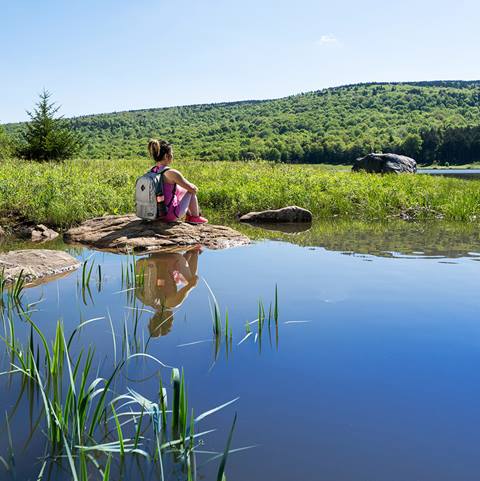 Woman sitting by lake