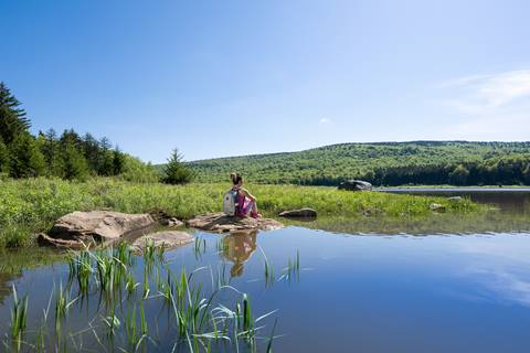Woman sitting by lake