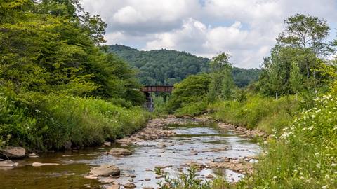 Pocahontas County is where Snowshoe Mountain is located in West Virginia