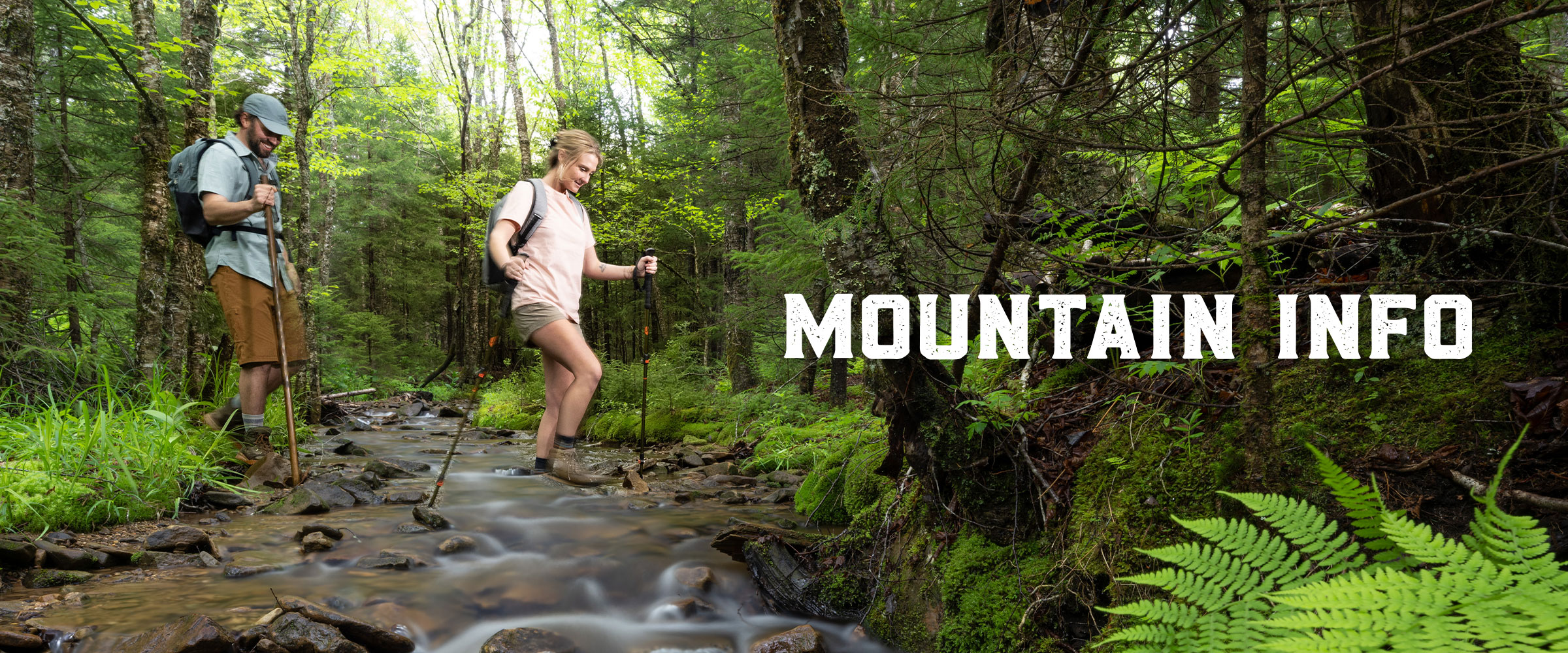 Mountain Info at Snowshoe