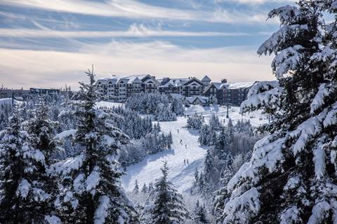 Winter Slope View