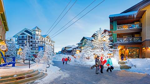 Winter Village Scene