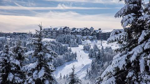 Snowshoe Village View
