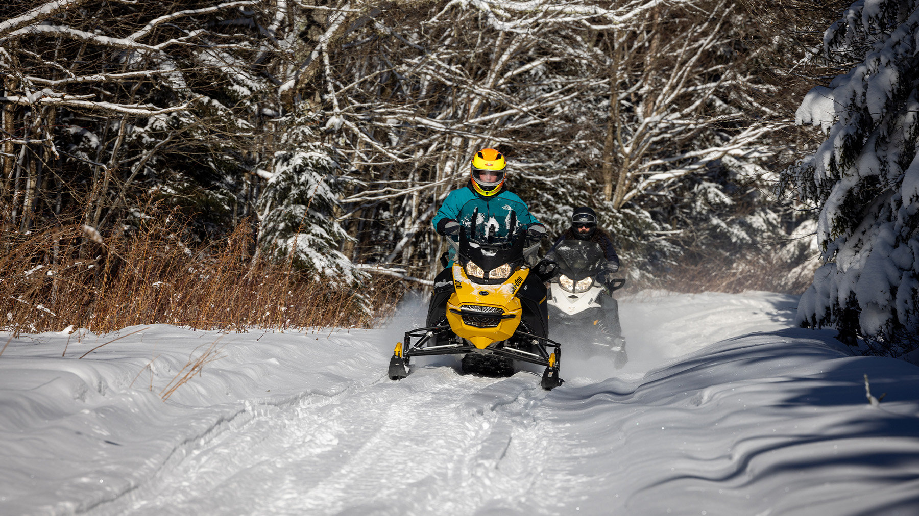 Backcountry Snowmobile Tours | Snowshoe Mountain