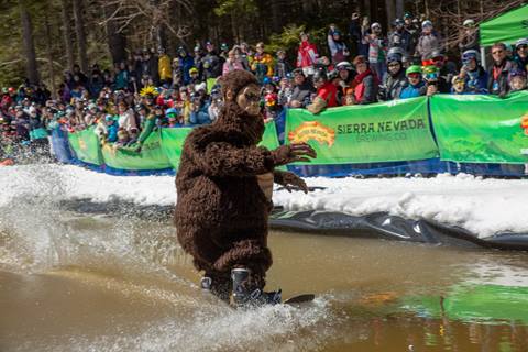 Pond Skim
