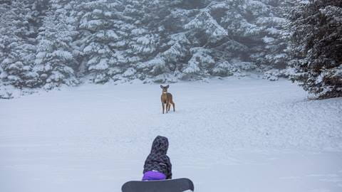 Hours of Operation | Snowshoe Mountain