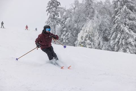 Skier on a Powder Day