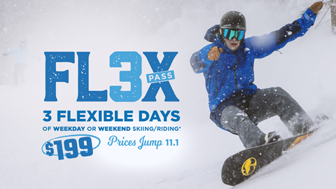 Flex 3