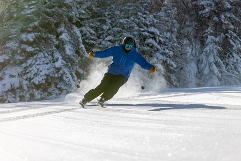 Skier
