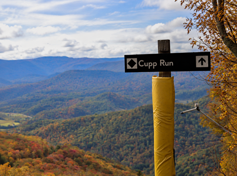 Cupp Run at Snowshoe Mountain