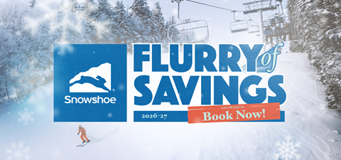 Flurry of Savings