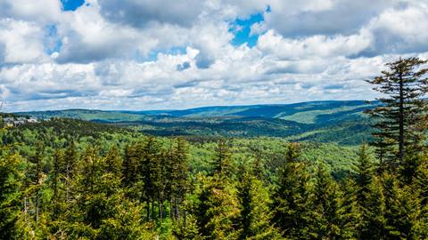 Sunny Mountain View