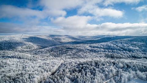 2020-01-29_SN_KS_Frosty Trees 0034.dng