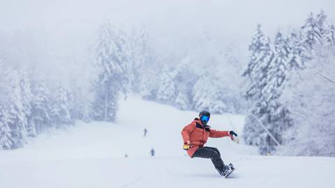 Woman Skiing